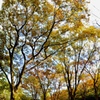 3308AC1E-E1BD-4D8E-81C7-A57053B4F90F