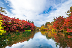 軽井沢 雲場池