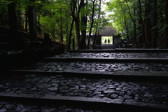 雨上がりの訪問者