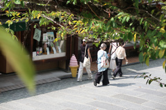 それでも夏は行く