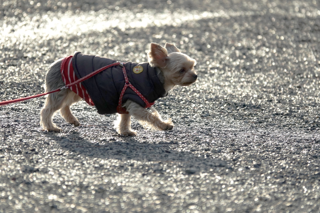 うれしい雨上がり
