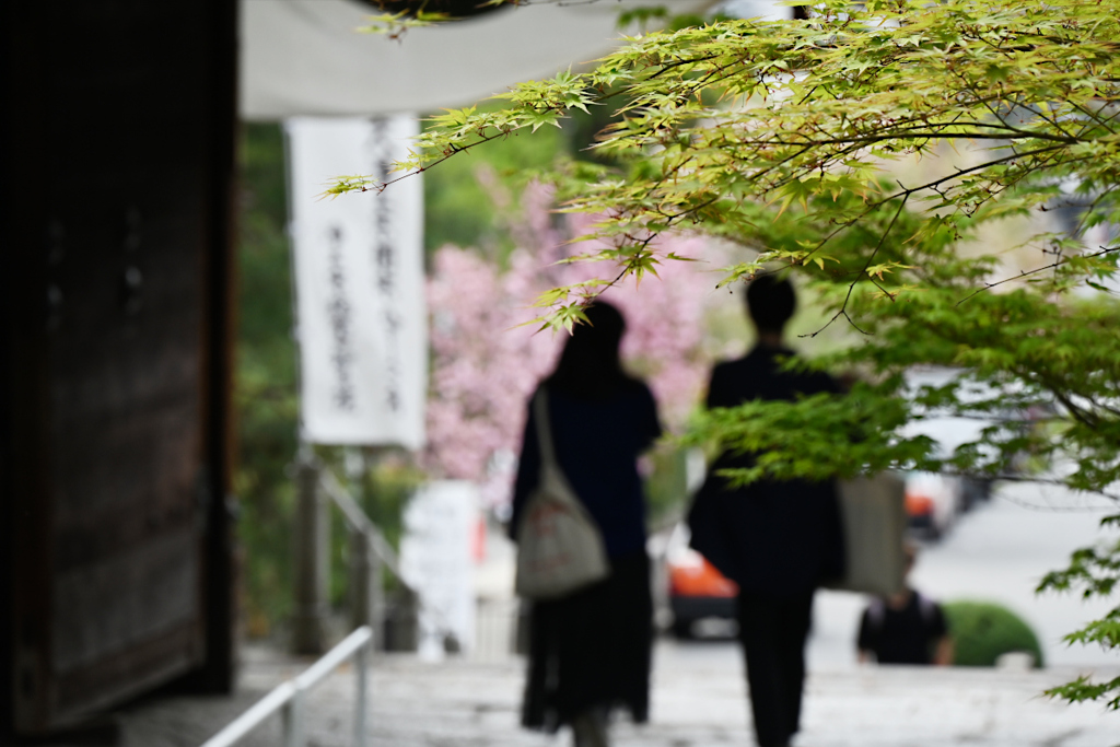 季節の扉を抜けて