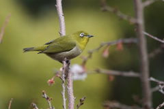 今日は暖かいね Ⅲ
