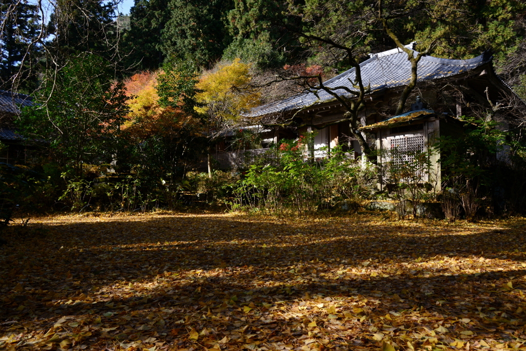 山寺に秋の名残り