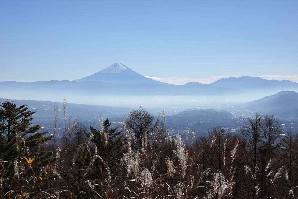 霞の彼方に