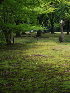 IMGP0102