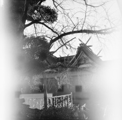 吉備津神社６