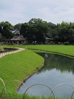 IMGP0116
