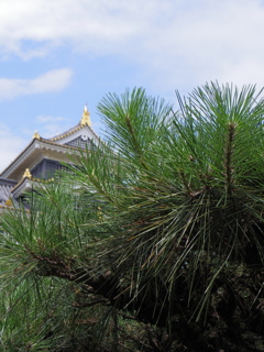IMGP0061