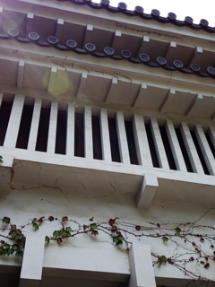 IMGP0070
