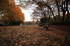 赤塚公園