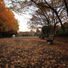 赤塚公園