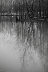 公園