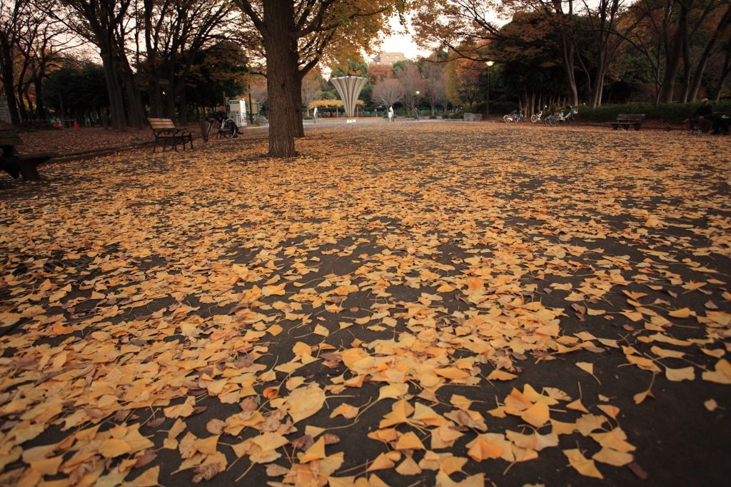 赤塚公園