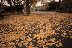 赤塚公園