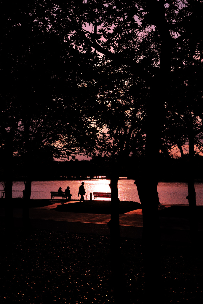 公園の夕焼け