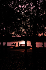公園の夕焼け