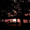 公園の夕焼け