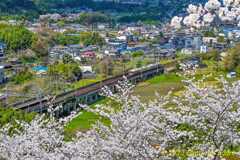 ♡南海高野線こうや号♡
