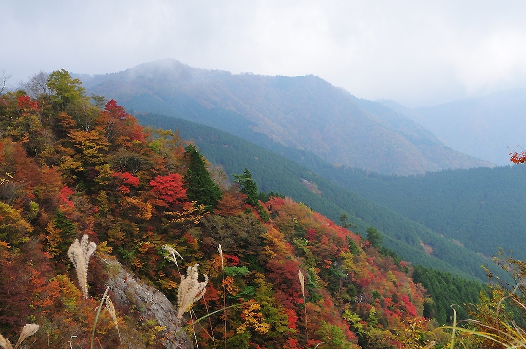 大台ケ原