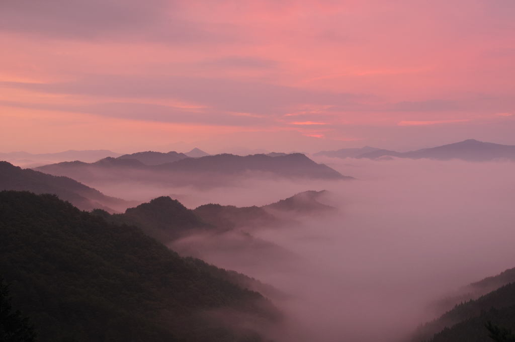 野迫川村の雲海