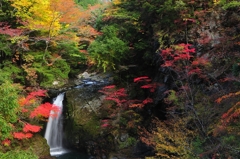 大滝