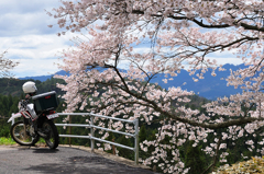 大和路仏隆寺の近くにて