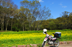 大和路明日香村にて