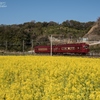 菜の花畑とうめ☆電車