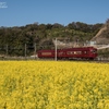 菜の花畑とうめ☆電車