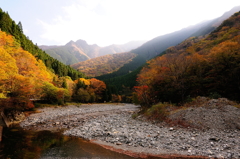 行者還林道の紅葉