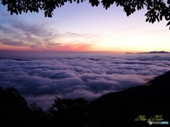 日出前の雲海