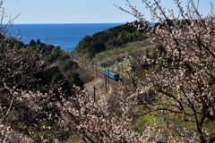 郷愁漂う各駅停車