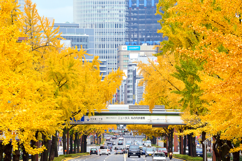 お昼休みに少し寄り道