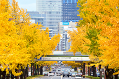 お昼休みに少し寄り道