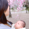 みんなでお花見散歩 ②