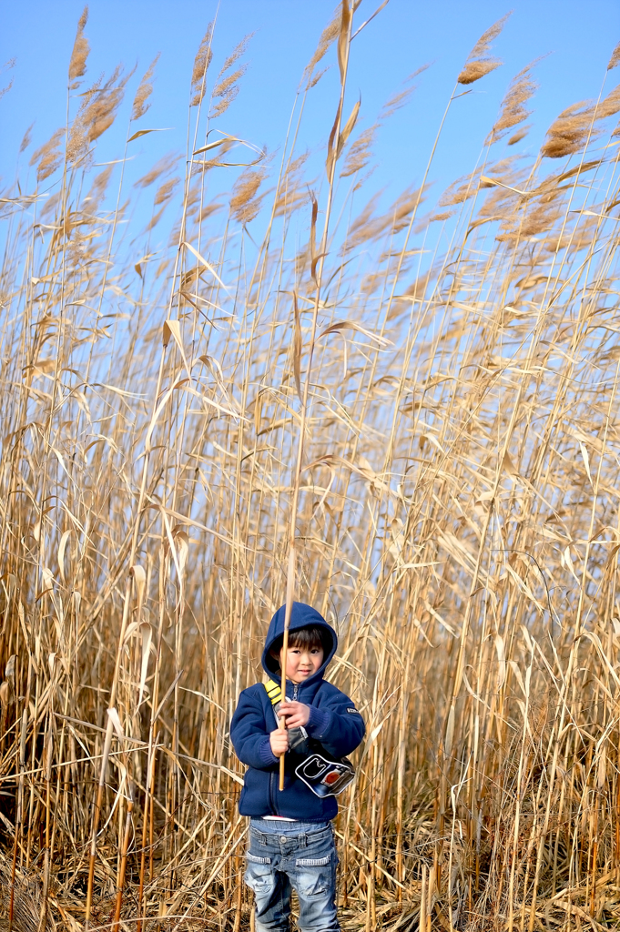 Adventure Ⅱ