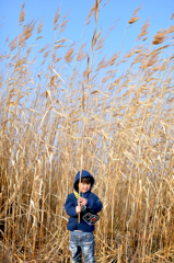 Adventure Ⅱ