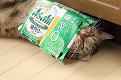見つかったー！