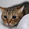マジで飛び出す５秒前