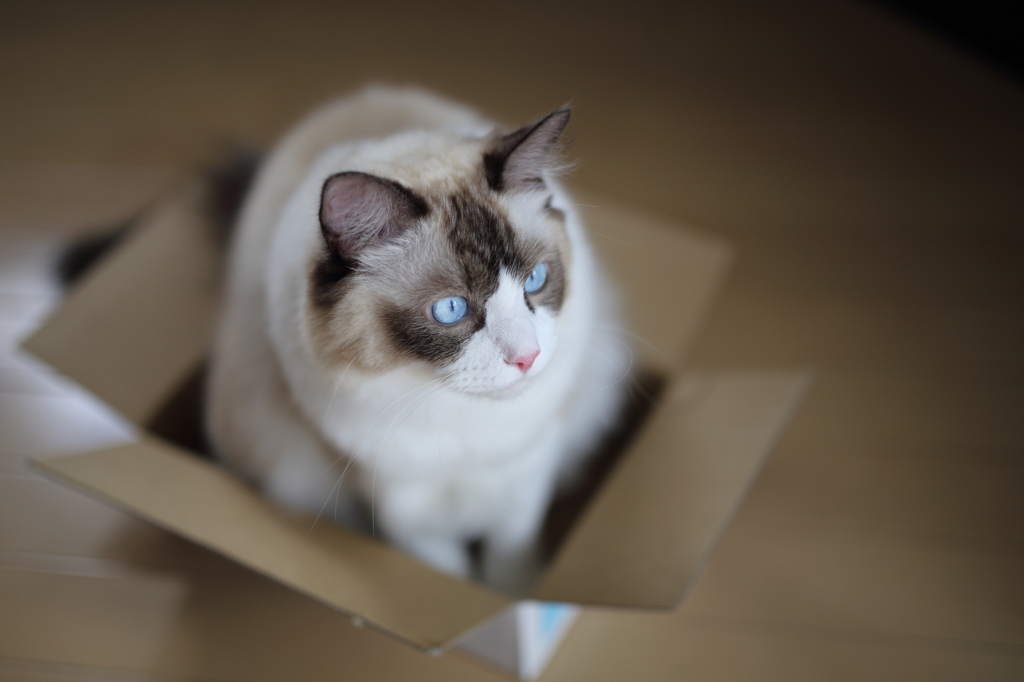 Open The Box
