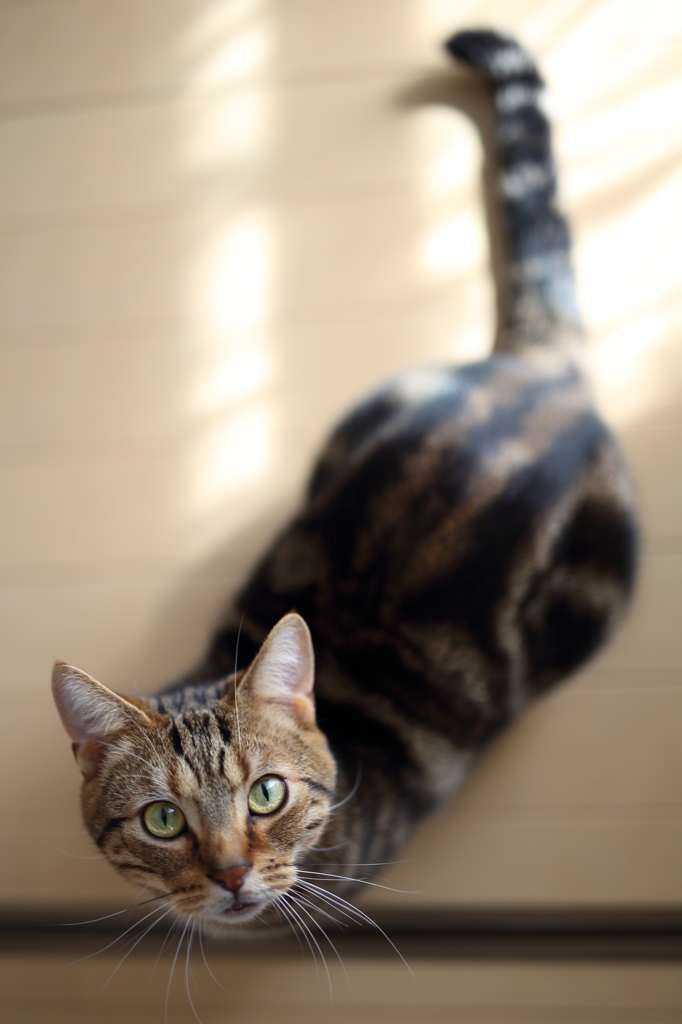 まっすぐ行ってちょい左