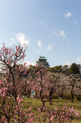 春の大阪城