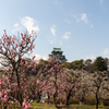 春の大阪城