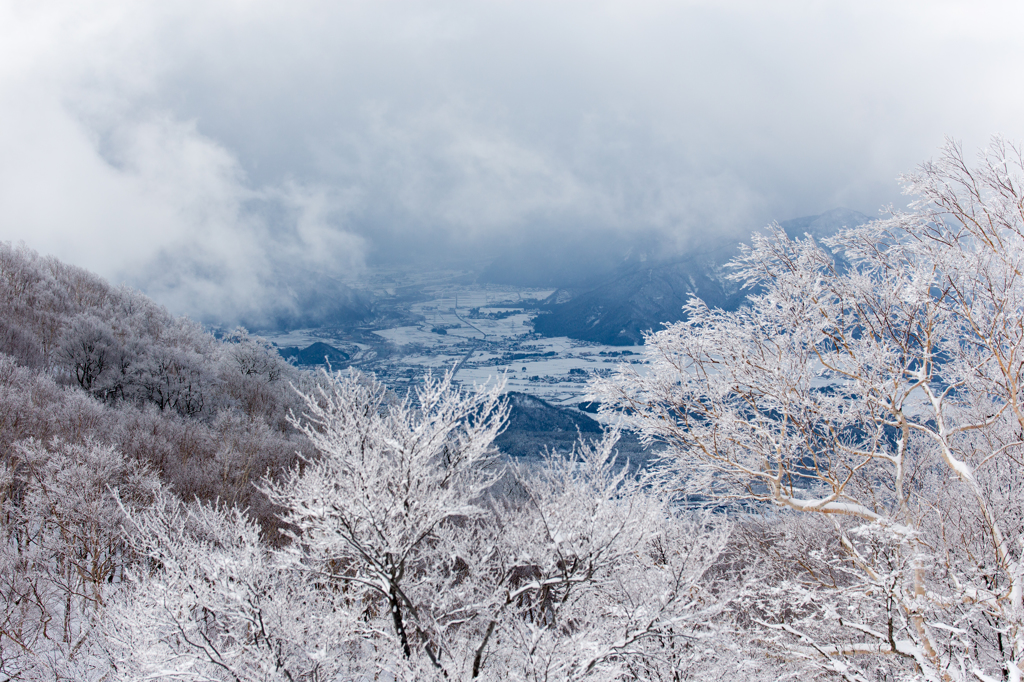 雪景色 1