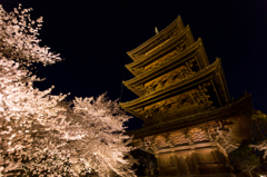 夜桜と五重塔 2