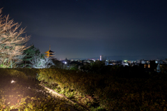 高台寺からの夜景