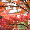 京都天龍寺 - 3