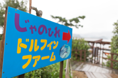 看板