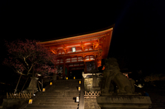 仁王門(山門)